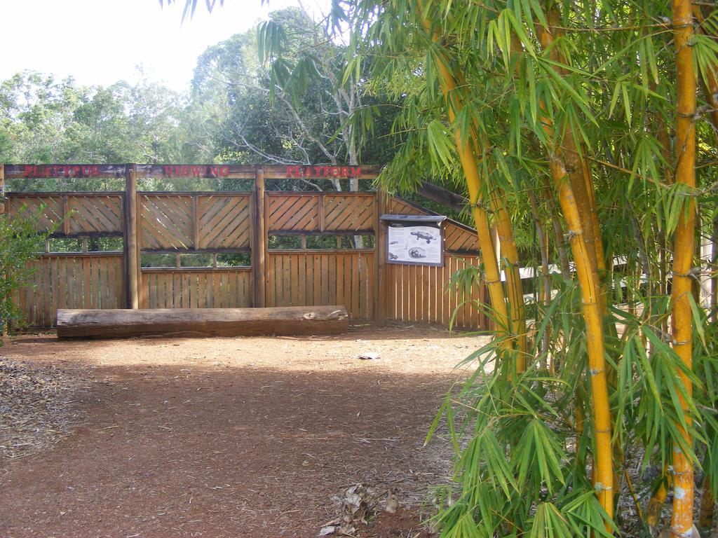 Lake Eacham Tourist Park & Cabins Exterior foto