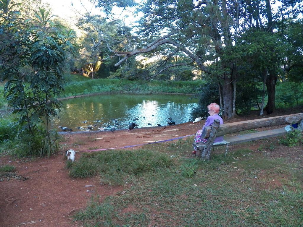 Lake Eacham Tourist Park & Cabins Exterior foto