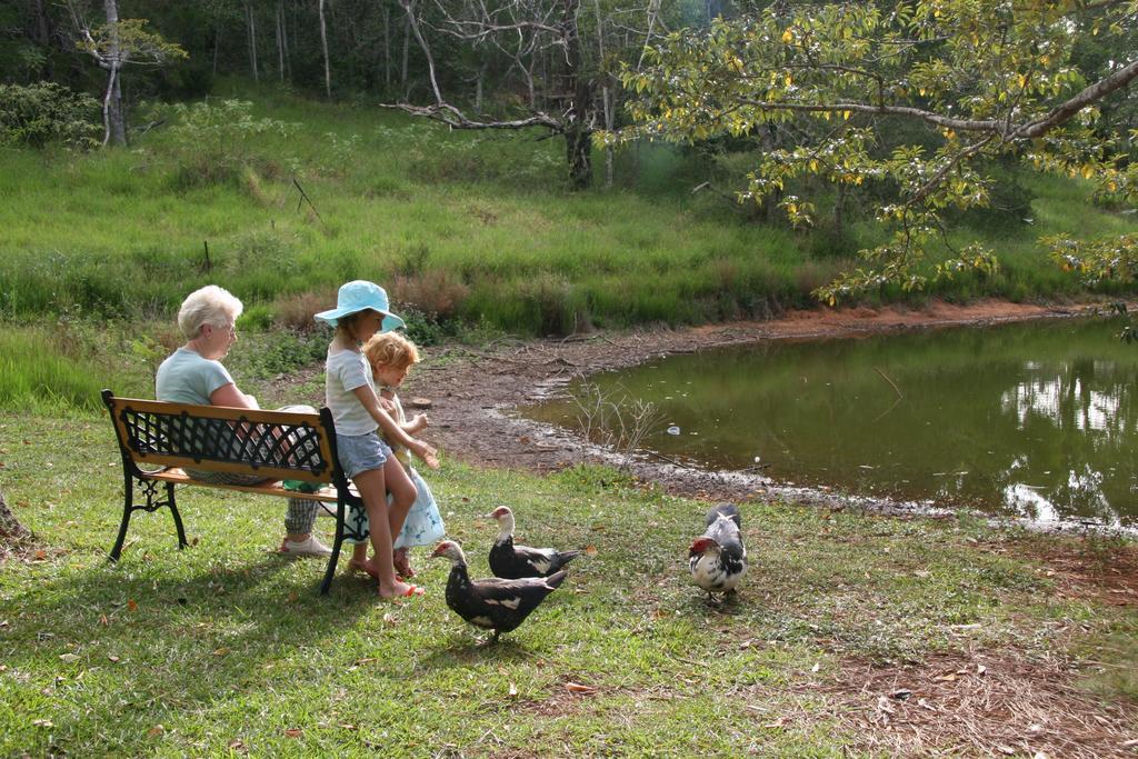 Lake Eacham Tourist Park & Cabins Exterior foto